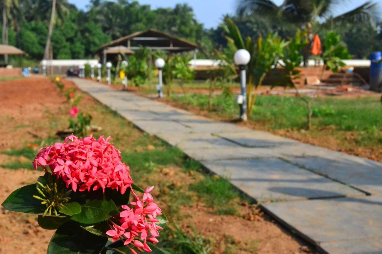 Radhika Eco Resort Arambol Exterior foto