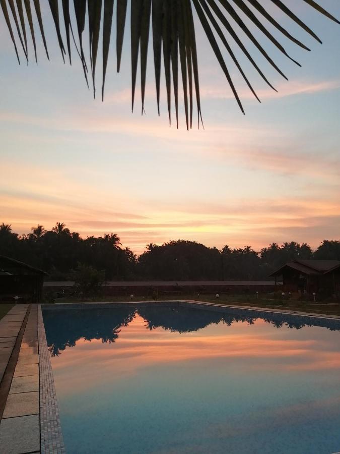 Radhika Eco Resort Arambol Exterior foto