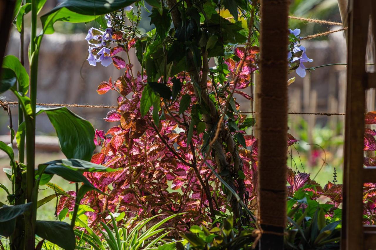 Radhika Eco Resort Arambol Exterior foto